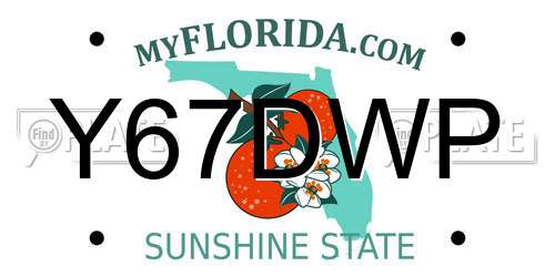 Y67DWP Florida License Plate
