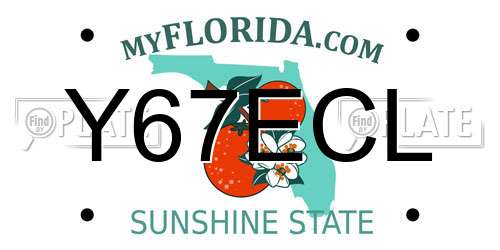 Y67ECL Florida License Plate
