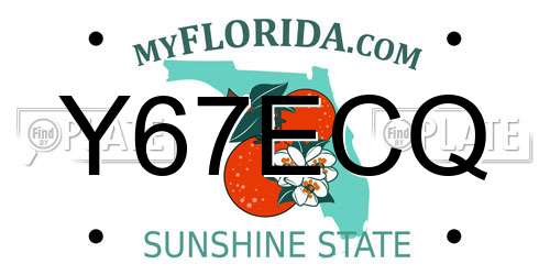 Y67ECQ Florida License Plate