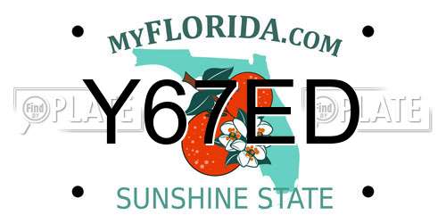 Y67ED Florida License Plate