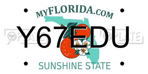 Y67EDU Florida License Plate