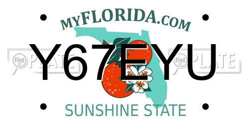Y67EYU Florida License Plate