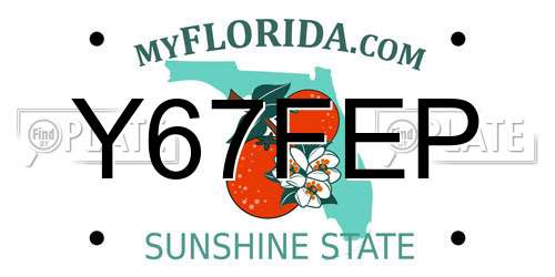 Y67FEP Florida License Plate