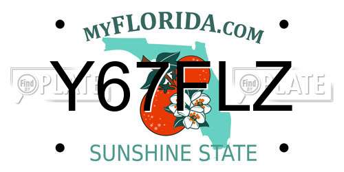 Y67FLZ Florida License Plate