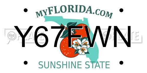 Y67FWN Florida License Plate