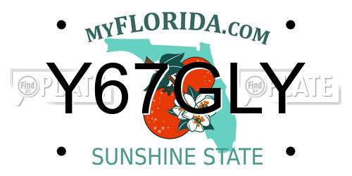 Y67GLY Florida License Plate
