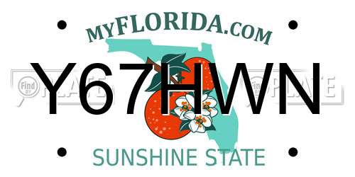 Y67HWN Florida License Plate