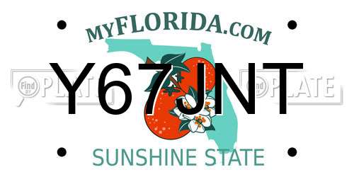 Y67JNT Florida License Plate
