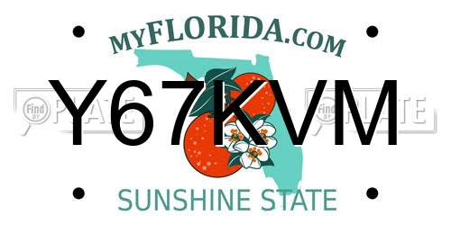 Y67KVM Florida License Plate