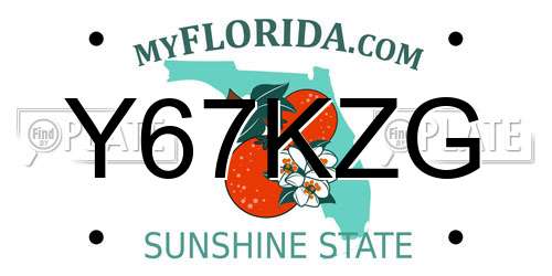 Y67KZG Florida License Plate