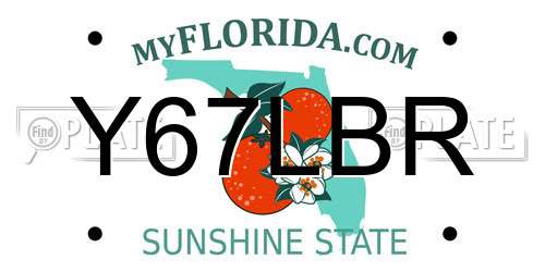 Y67LBR Florida License Plate