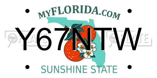 Y67NTW Florida License Plate