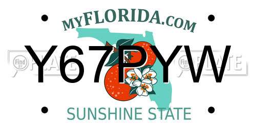 Y67PYW Florida License Plate