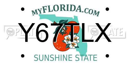 Y67TLX Florida License Plate