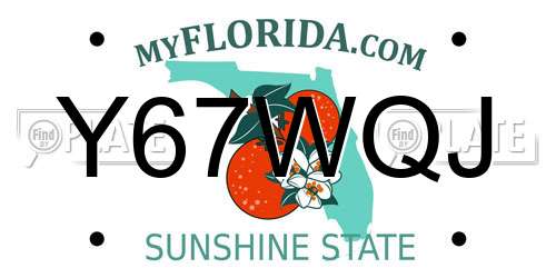 Y67WQJ Florida License Plate