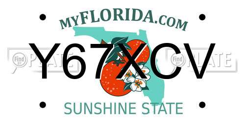 Y67XCV Florida License Plate