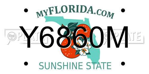 Y6860M Florida License Plate