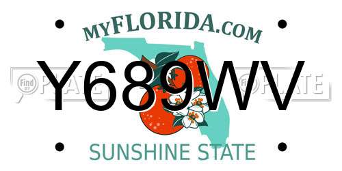 Y689WV Florida License Plate