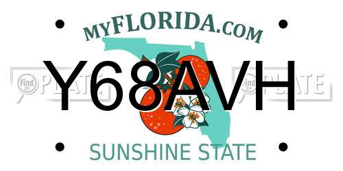 Y68AVH Florida License Plate