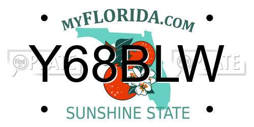Y68BLW Florida License Plate
