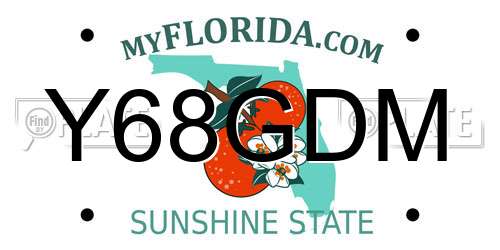 Y68GDM Florida License Plate
