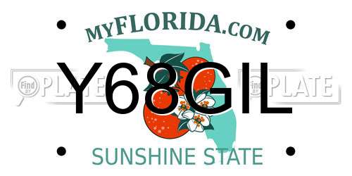 Y68GIL Florida License Plate