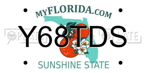Y68TDS Florida License Plate