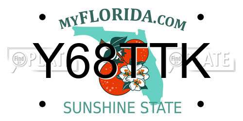 Y68TTK Florida License Plate