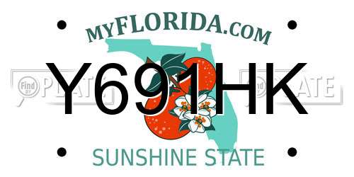 Y691HK Florida License Plate