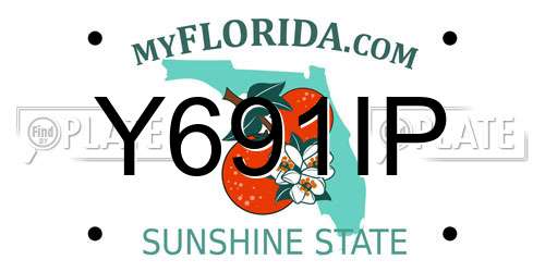 Y691IP Florida License Plate