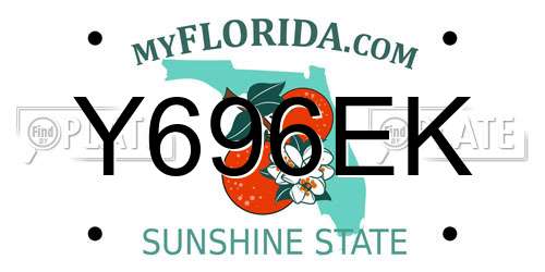 Y696EK Florida License Plate