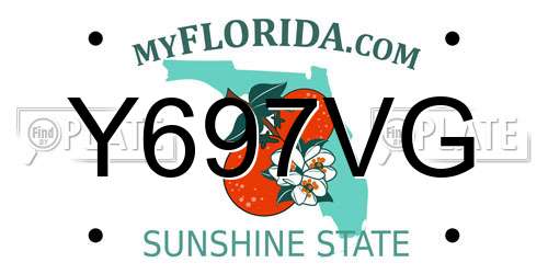 Y697VG Florida License Plate