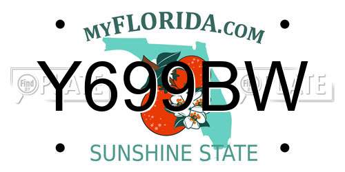 Y699BW Florida License Plate