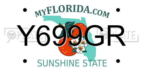 Y699GR Florida License Plate