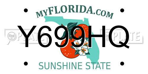 Y699HQ Florida License Plate