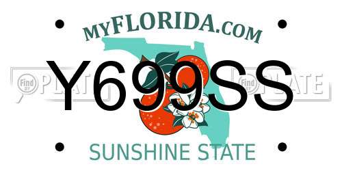 Y699SS Florida License Plate