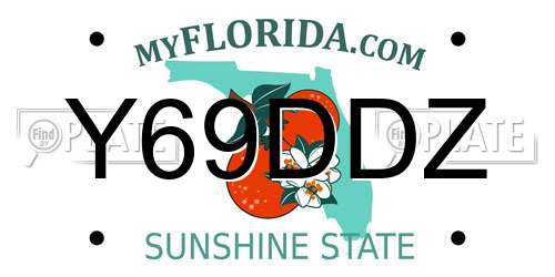 Y69DDZ Florida License Plate