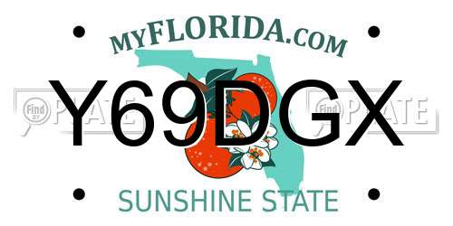 Y69DGX Florida License Plate
