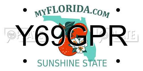 Y69GPR Florida License Plate