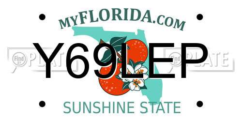 Y69LEP Florida License Plate