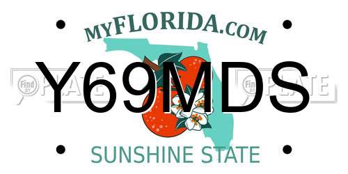 Y69MDS Florida License Plate