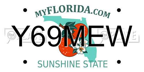Y69MEW Florida License Plate