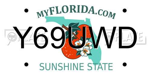 Y69UWD Florida License Plate