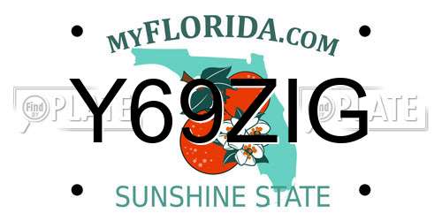 Y69ZIG Florida License Plate