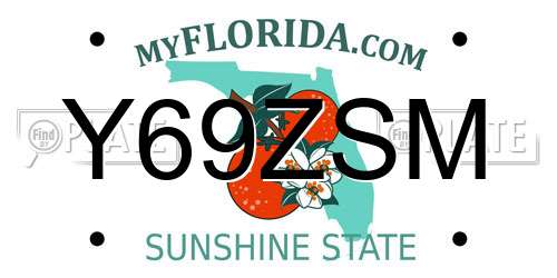 Y69ZSM Florida License Plate
