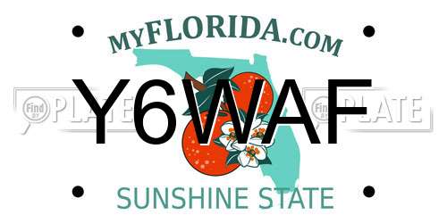 Y6WAF Florida License Plate