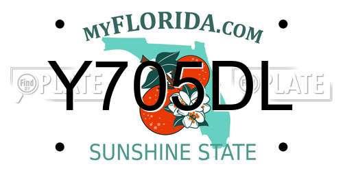 Y705DL Florida License Plate