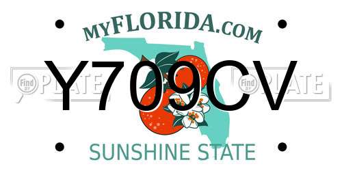Y709CV Florida License Plate