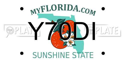 Y70DI Florida License Plate