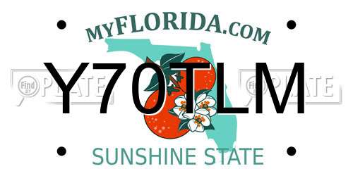 Y70TLM Florida License Plate